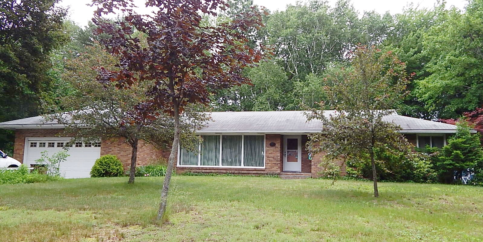 Image Date 6/21/2013