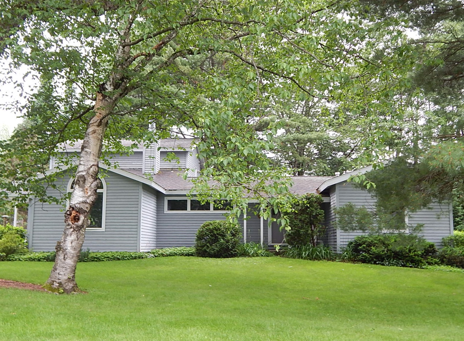 Image Date 6/21/2013