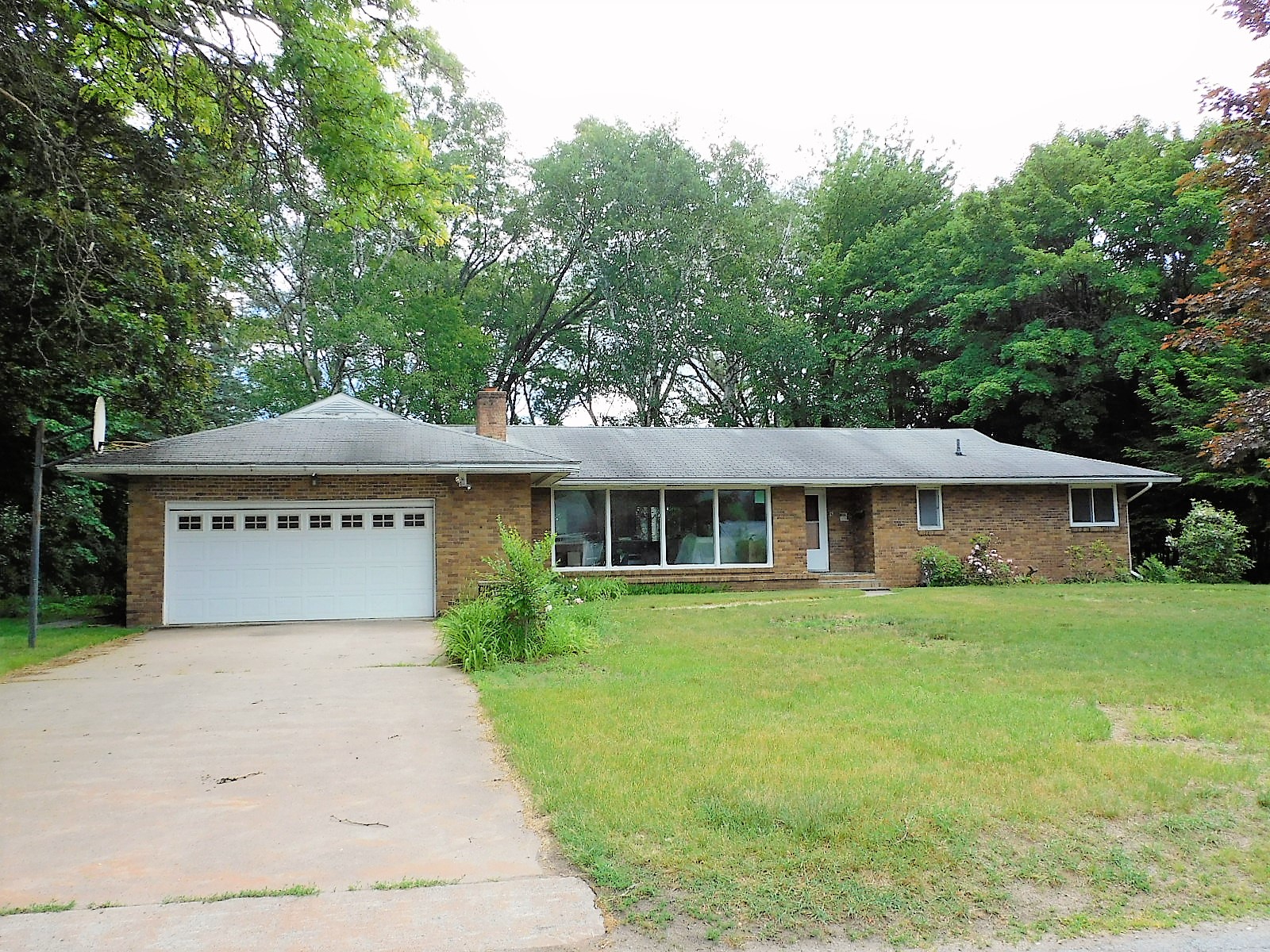 Image Date 6/14/2022